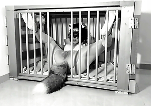 A day out an obstacle life of a Kitten: Ep.1 - Squirting on her tail Bdsmlovers91