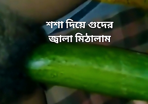 Bangladeshi titillating girl cucumber constant masturbate.